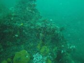 DSC05211.jpg