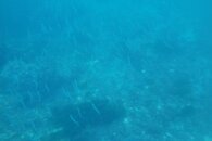 DSC05230.jpg