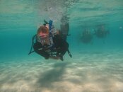 IMG_4223.jpg