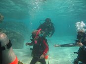 IMG_4262.jpg