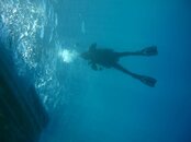 IMG_4341.jpg