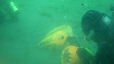 M4H05809(1).jpg
