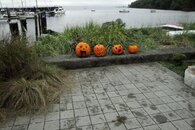 DSC05811.jpg