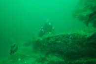 DSC05913.jpg