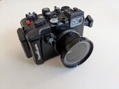 PXL_20210508_064147368.jpg