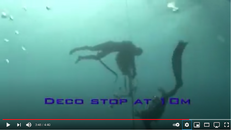 Stop  -10m.png