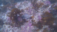 IMG_0190.JPG