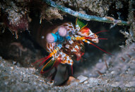 DSC03057.jpg