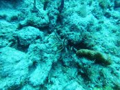 image6 (1).jpeg