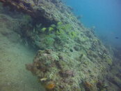GOPR2910.JPG