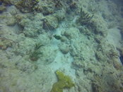 GOPR2920.JPG
