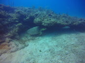 GOPR2934.JPG