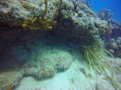GOPR3044.JPG