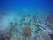 GOPR3096.JPG