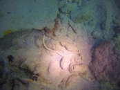 GOPR3109.JPG