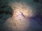 GOPR3124.JPG