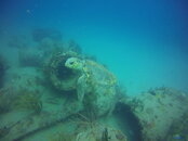 GOPR3226.JPG