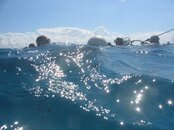 IMG_6386.JPG