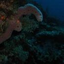 IMG_0044.JPG