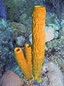 P1010077.JPG