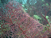 P1010029.JPG