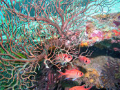 P1010041a.JPG