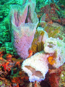 P1010068a.JPG