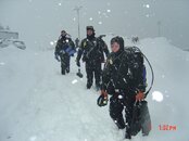 snowy threesome small.jpg