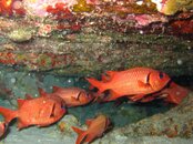 IMG_0543e.JPG