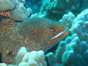 IMG_0670e.JPG
