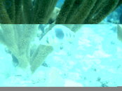 IMAG0218.JPG
