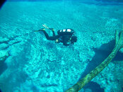 20071019019_edited-1.jpg