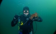 lobster2.jpg