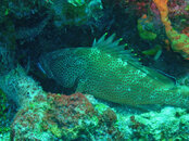2008 02 28 021_edited-1.jpg