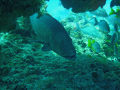 2008 02 28 023_edited-1.jpg