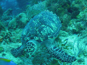 2008 02 28 025_edited-1.jpg