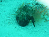 2008 02 28 059_edited-1.jpg