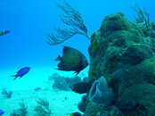 2008 02 28 072_edited-1.jpg