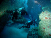 2008 02 28 143_edited-1.jpg