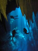 cenote 7.jpg