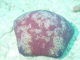 th_DSCN0419.jpg