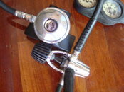 rsz_DSC02731.jpg