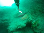 GOPR0104.jpg