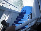 DSCF0177.jpg DSCF0177.jpg
