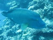 IMG_1018.jpg IMG_1018.jpg