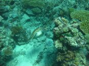 IMG_1030.jpg IMG_1030.jpg