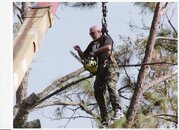 Mark Cutting Trees 09 2005.jpg