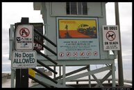 venice-beach-no-dogs-signs_half.jpg