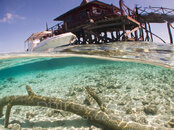 Sipadan-island-over-under-M.jpg Sipadan-island-over-under-M.jpg