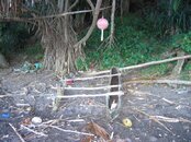 IMG_08141.jpg